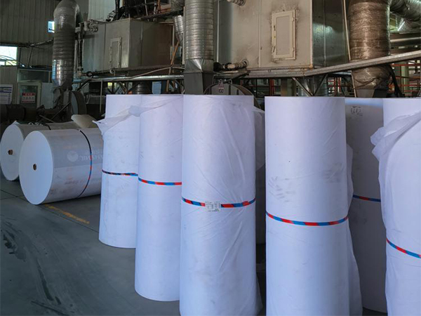 Oltre tre decenni di innovazione intersettoriale nei materiali da parte di Xia Packing