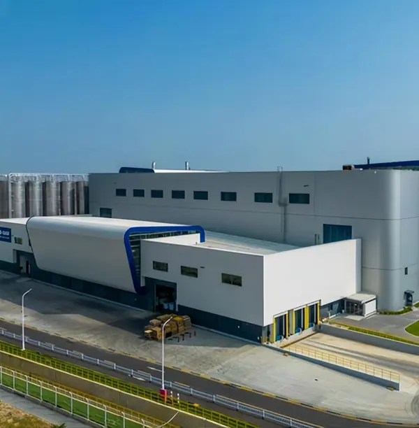 Progetto BASF a Zhanjiang, Cina